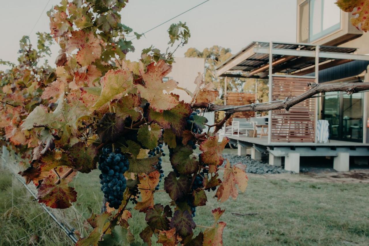 Barn Hives Yallingup Dış mekan fotoğraf