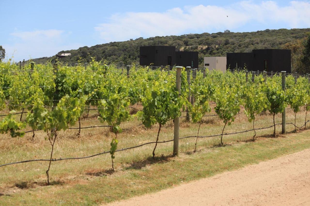 Barn Hives Yallingup Dış mekan fotoğraf