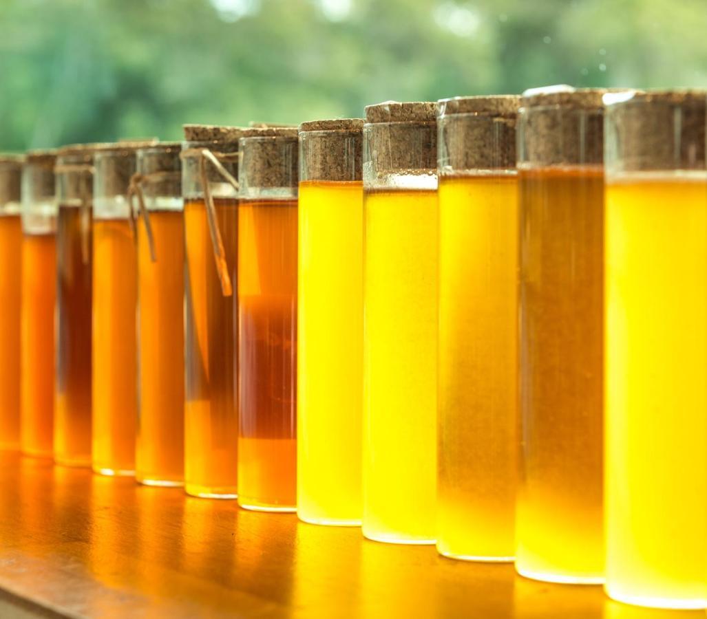 Barn Hives Yallingup Dış mekan fotoğraf