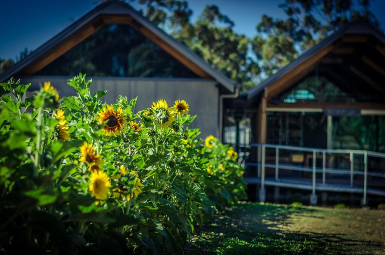 Barn Hives Yallingup Dış mekan fotoğraf